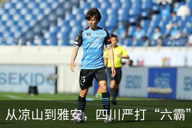 从凉山到雅安，四川严打“六霸”一锅端：打掉112个，559起刑案告破