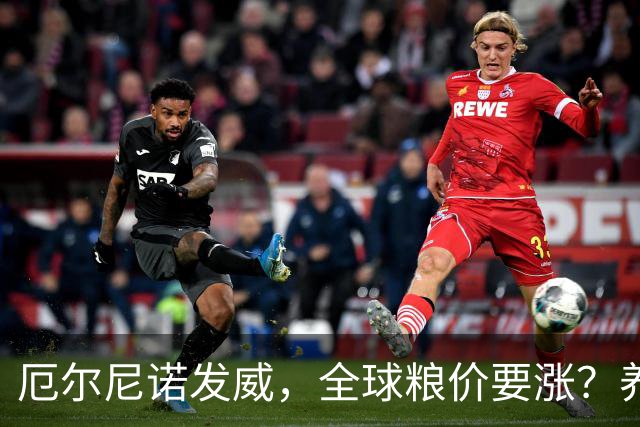 厄尔尼诺发威，全球粮价要涨？养殖端已经开始算帐了，大家还是多存钱吧