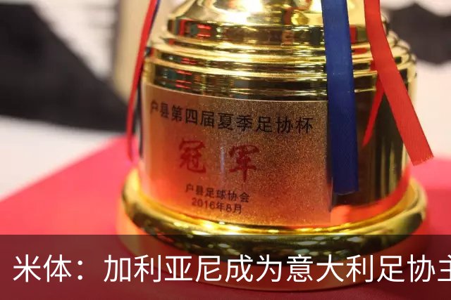 米体：加利亚尼成为意大利足协主席热门人选